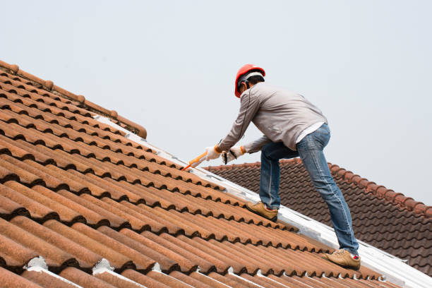 Professional Roofing and repair in Greendale, IN